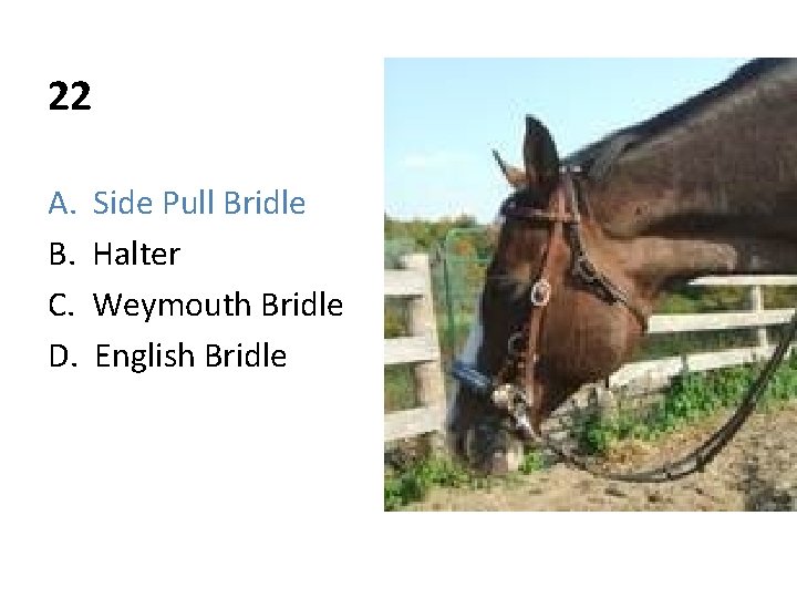 22 A. B. C. D. Side Pull Bridle Halter Weymouth Bridle English Bridle 