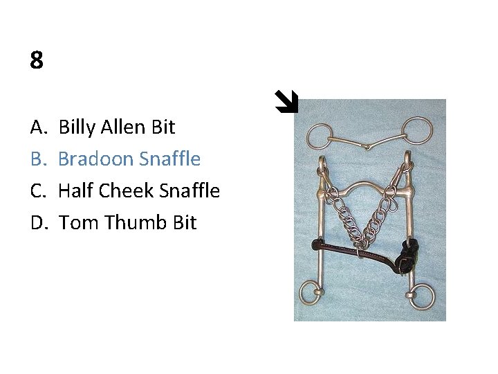 8 A. B. C. D. Billy Allen Bit Bradoon Snaffle Half Cheek Snaffle Tom