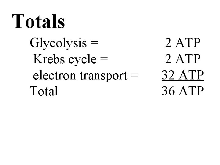 Totals Glycolysis = Krebs cycle = electron transport = Total 2 ATP 32 ATP