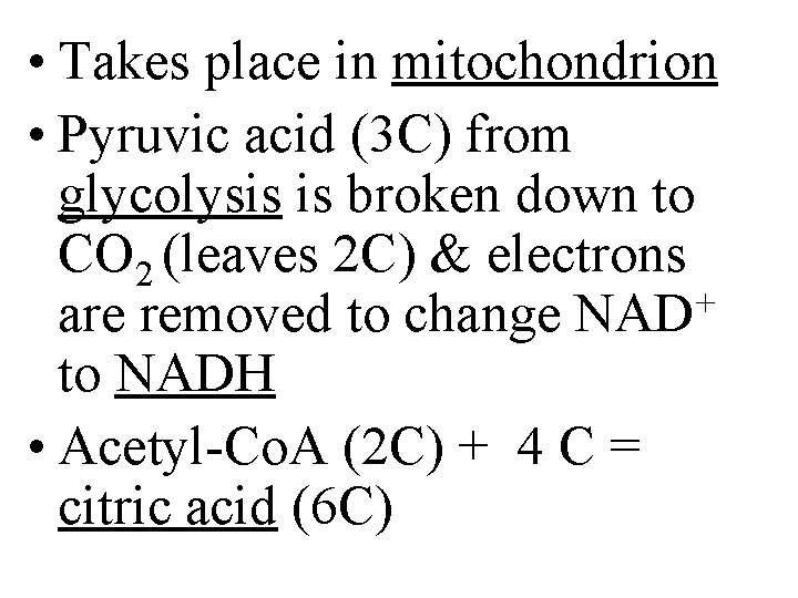  • Takes place in mitochondrion • Pyruvic acid (3 C) from glycolysis is