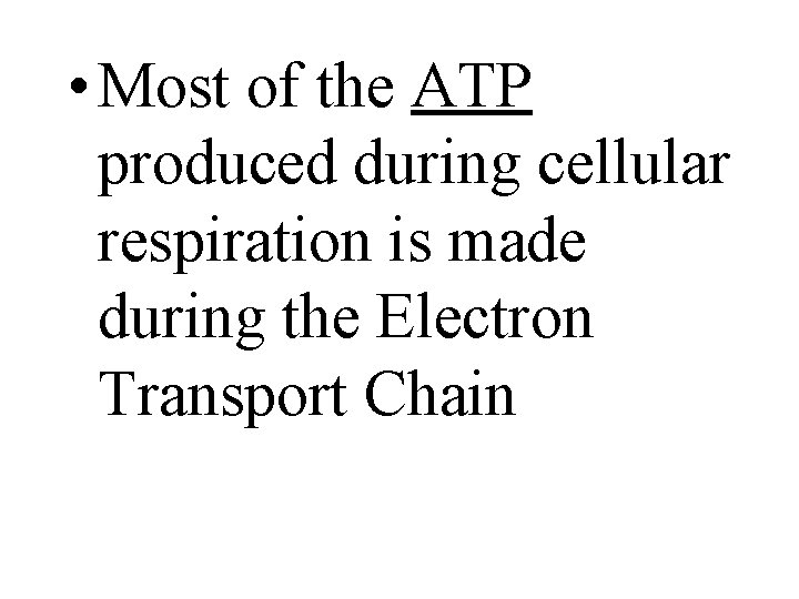  • Most of the ATP produced during cellular respiration is made during the