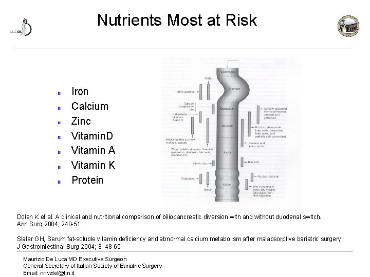 Nutrients Most at Risk Iron Calcium Zinc Vitamin. D Vitamin A Vitamin K Protein