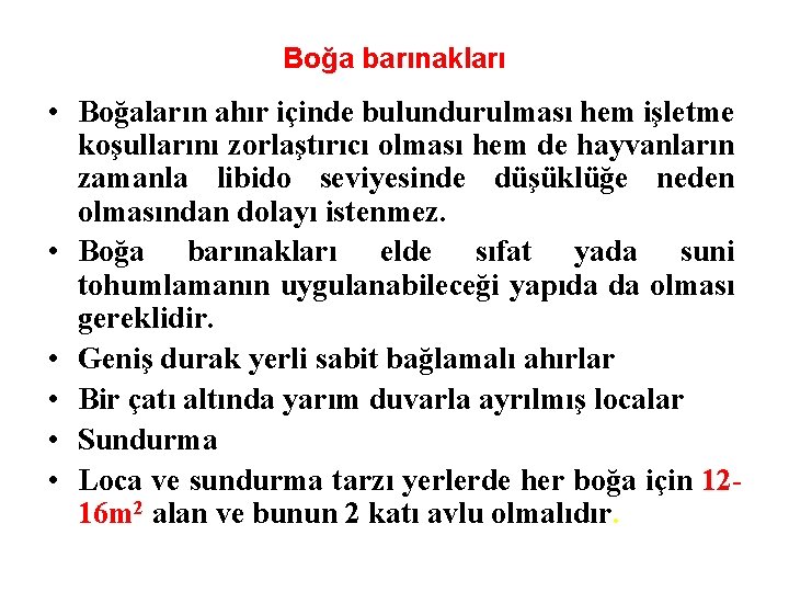 Boğa barınakları • Boğaların ahır içinde bulundurulması hem işletme koşullarını zorlaştırıcı olması hem de