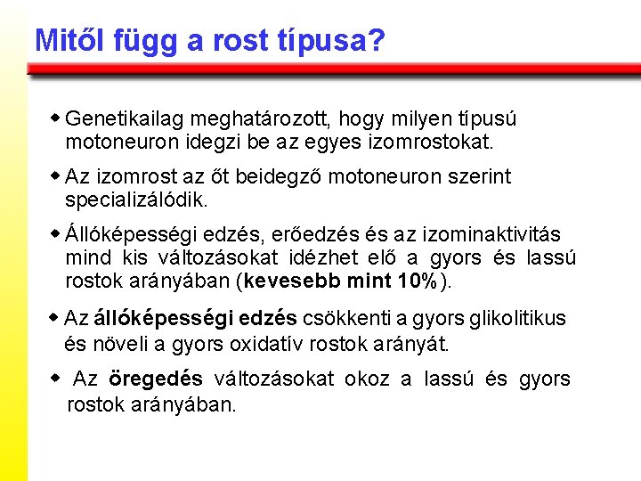 Mitől függ a rost típusa? w Genetikailag meghatározott, hogy milyen típusú motoneuron idegzi be