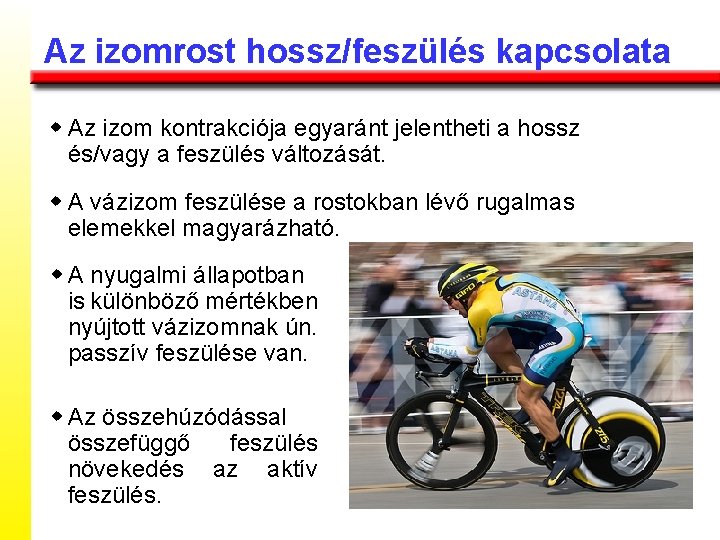 Az izomrost hossz/feszülés kapcsolata w Az izom kontrakciója egyaránt jelentheti a hossz és/vagy a