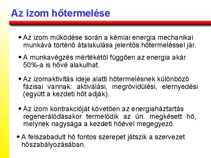 Az izom hőtermelése w Az izom működése során a kémiai energia mechanikai munkává történő