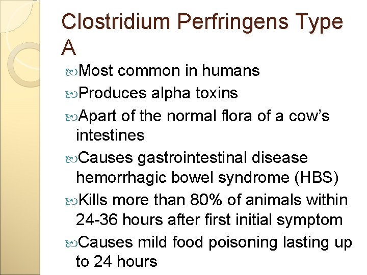 Clostridium Perfringens Type A Most common in humans Produces alpha toxins Apart of the