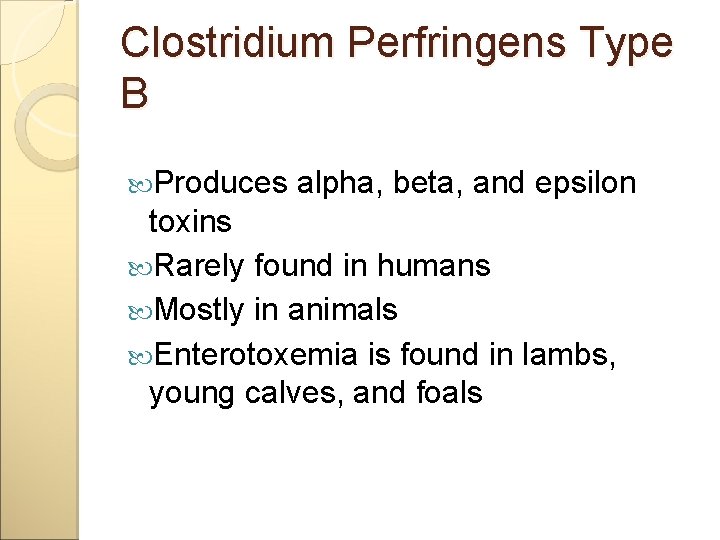 Clostridium Perfringens Type B Produces alpha, beta, and epsilon toxins Rarely found in humans