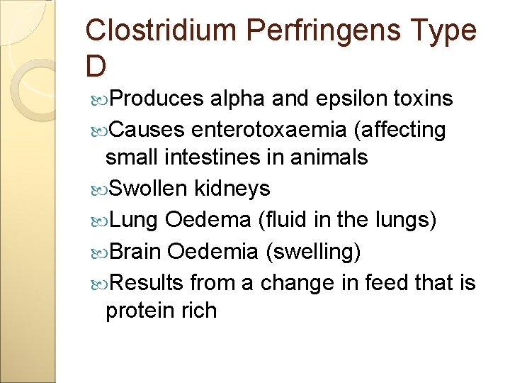 Clostridium Perfringens Type D Produces alpha and epsilon toxins Causes enterotoxaemia (affecting small intestines