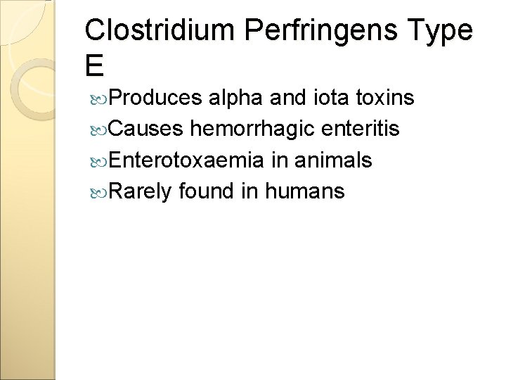 Clostridium Perfringens Type E Produces alpha and iota toxins Causes hemorrhagic enteritis Enterotoxaemia in