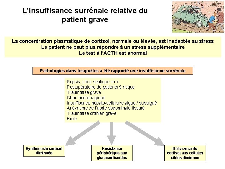 L’insuffisance surrénale relative du patient grave La concentration plasmatique de cortisol, normale ou élevée,