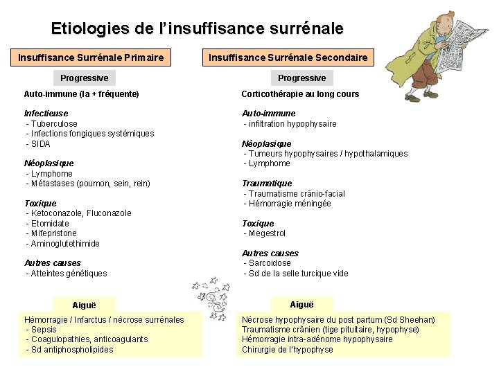 Etiologies de l’insuffisance surrénale Insuffisance Surrénale Primaire Progressive Insuffisance Surrénale Secondaire Progressive Auto-immune (la