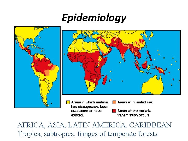 Epidemiology AFRICA, ASIA, LATIN AMERICA, CARIBBEAN Tropics, subtropics, fringes of temperate forests 