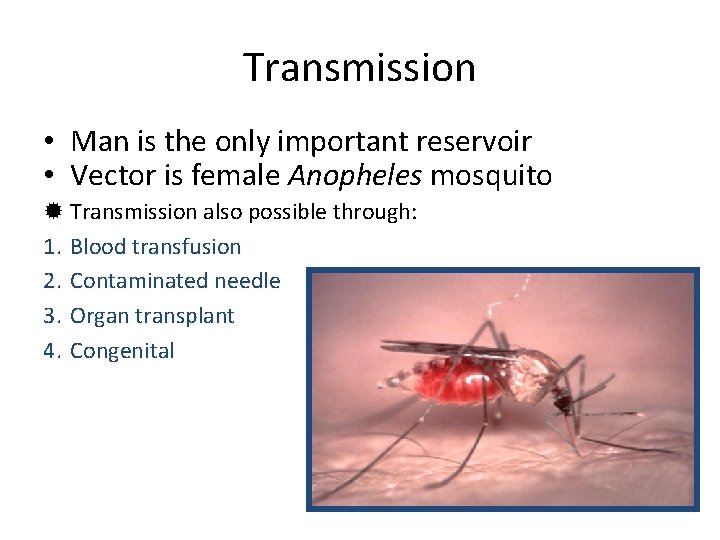 Transmission • Man is the only important reservoir • Vector is female Anopheles mosquito