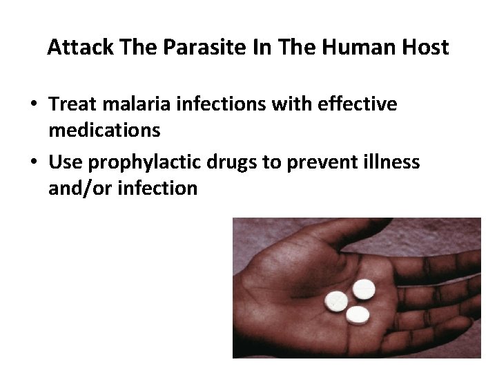 Attack The Parasite In The Human Host • Treat malaria infections with effective medications