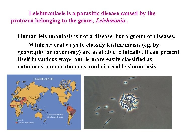 Leishmaniasis is a parasitic disease caused by the protozoa belonging to the genus, Leishmania.