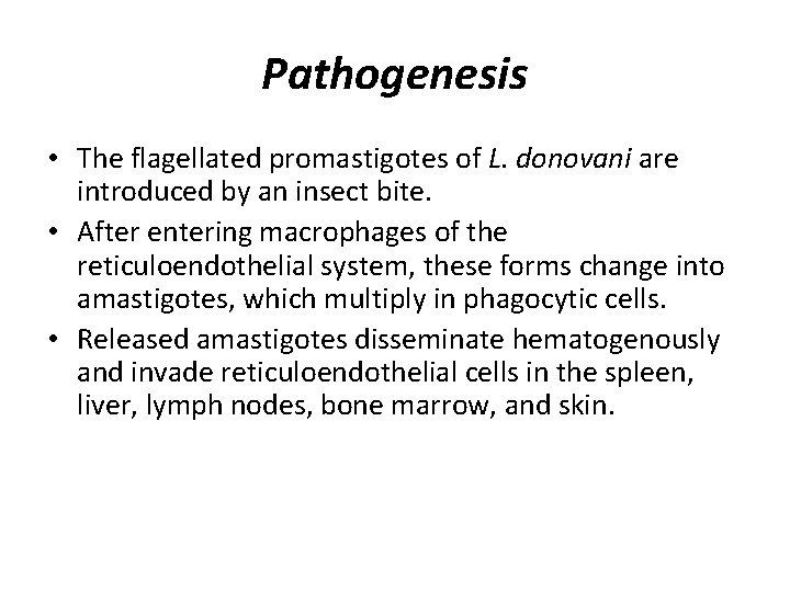 Pathogenesis • The flagellated promastigotes of L. donovani are introduced by an insect bite.