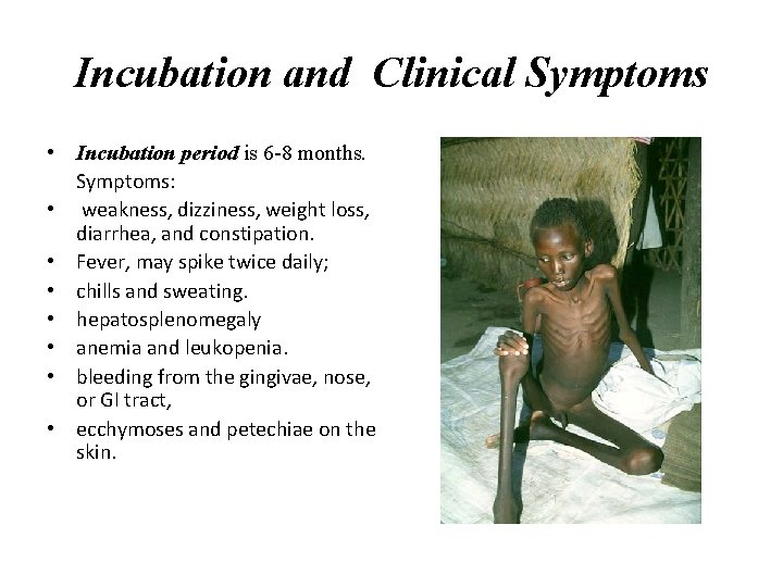 Incubation and Clinical Symptoms • Incubation period is 6 -8 months. Symptoms: • weakness,