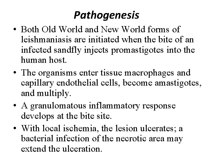 Pathogenesis • Both Old World and New World forms of leishmaniasis are initiated when