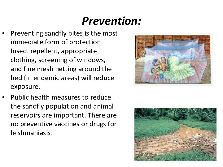 Prevention: • Preventing sandfly bites is the most immediate form of protection. Insect repellent,