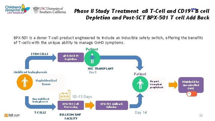 return Phase II Study Treatment αβ T-Cell and CD 19+ B cell Depletion and