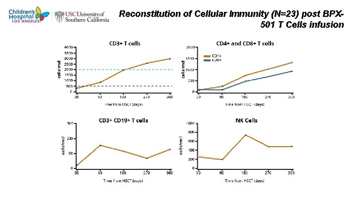Reconstitution of Cellular Immunity (N=23) post BPX 501 T Cells infusion 