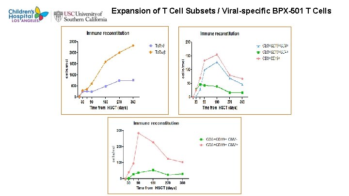 Expansion of T Cell Subsets / Viral-specific BPX-501 T Cells 