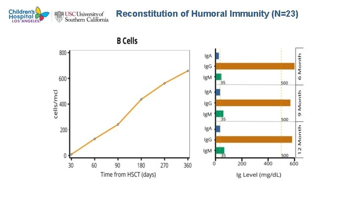 Reconstitution of Humoral Immunity (N=23) 