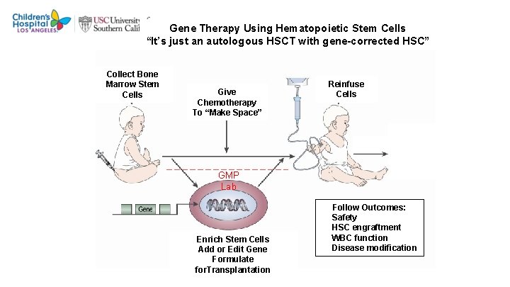 Gene Therapy Using Hematopoietic Stem Cells “It’s just an autologous HSCT with gene-corrected HSC”