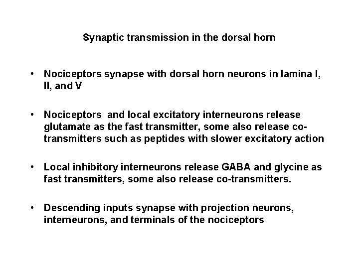 Synaptic transmission in the dorsal horn • Nociceptors synapse with dorsal horn neurons in