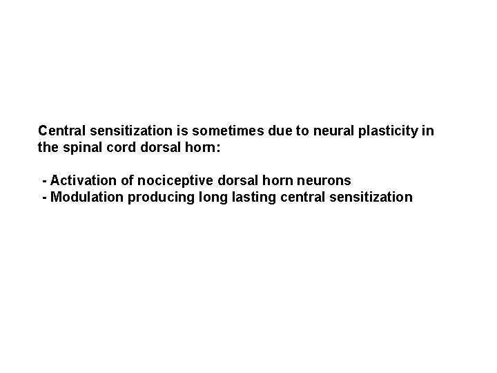 Central sensitization is sometimes due to neural plasticity in the spinal cord dorsal horn: