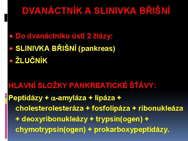 DVANÁCTNÍK A SLINIVKA BŘIŠNÍ Do dvanáctníku ústí 2 žlázy: SLINIVKA BŘIŠNÍ (pankreas) ŽLUČNÍK HLAVNÍ