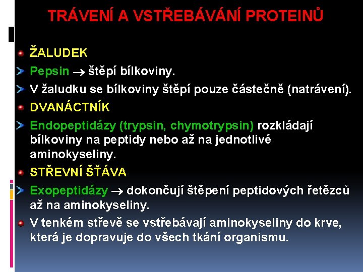 TRÁVENÍ A VSTŘEBÁVÁNÍ PROTEINŮ ŽALUDEK Pepsin štěpí bílkoviny. V žaludku se bílkoviny štěpí pouze