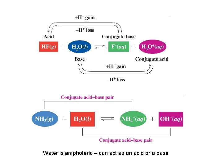 Water is amphoteric – can act as an acid or a base 