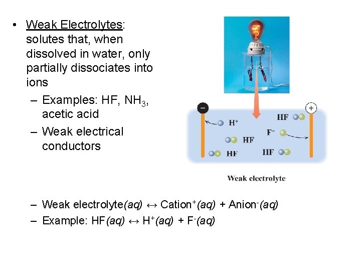  • Weak Electrolytes: solutes that, when dissolved in water, only partially dissociates into