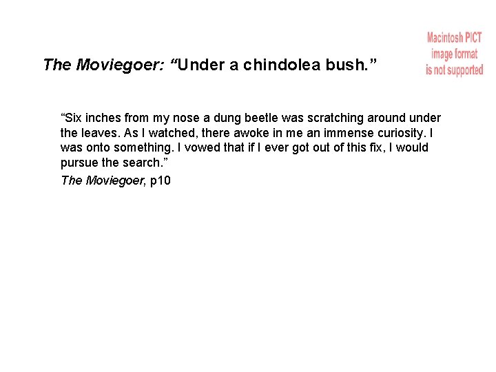 The Moviegoer: “Under a chindolea bush. ” “Six inches from my nose a dung