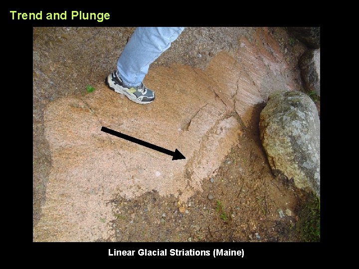 Trend and Plunge Linear Glacial Striations (Maine) 