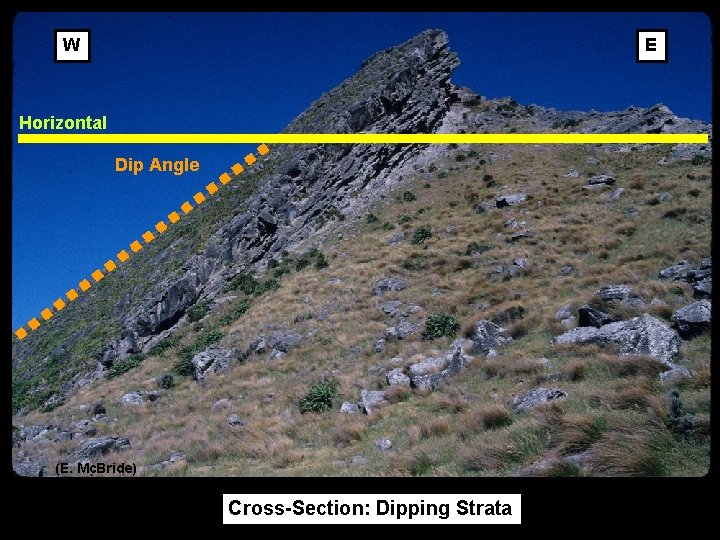 W E Horizontal Dip Angle (E. Mc. Bride) Cross-Section: Dipping Strata 