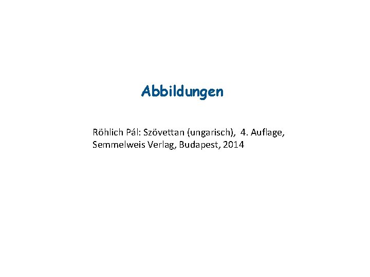 Abbildungen Röhlich Pál: Szövettan (ungarisch), 4. Auflage, Semmelweis Verlag, Budapest, 2014 