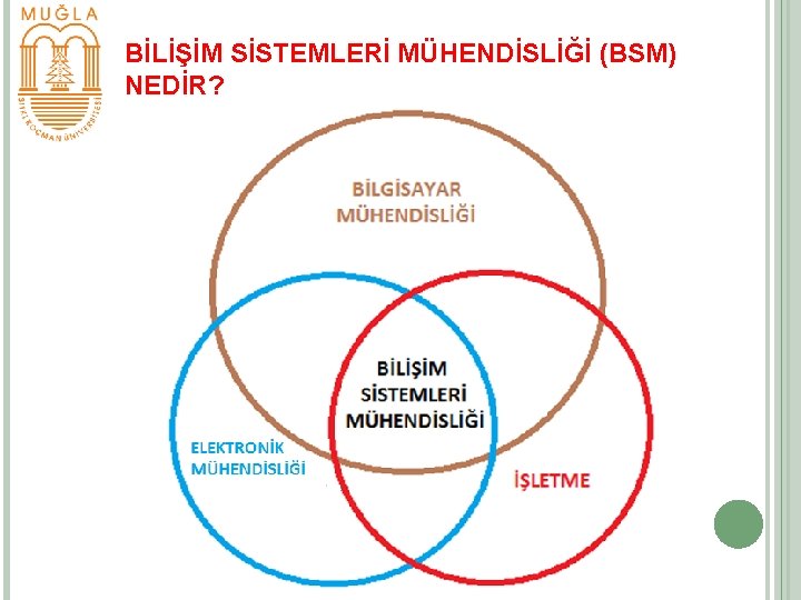 BİLİŞİM SİSTEMLERİ MÜHENDİSLİĞİ (BSM) NEDİR? 