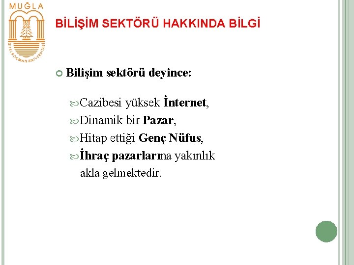 BİLİŞİM SEKTÖRÜ HAKKINDA BİLGİ Bilişim sektörü deyince: Cazibesi yüksek İnternet, Dinamik bir Pazar, Hitap