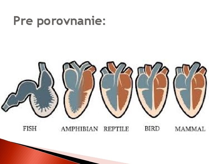 Pre porovnanie: 