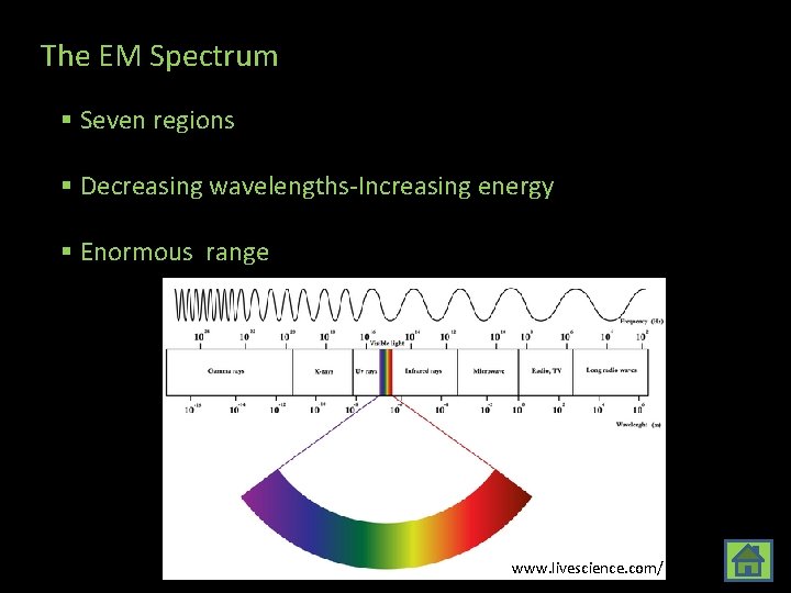 The EM Spectrum § Seven regions § Decreasing wavelengths-Increasing energy § Enormous range www.