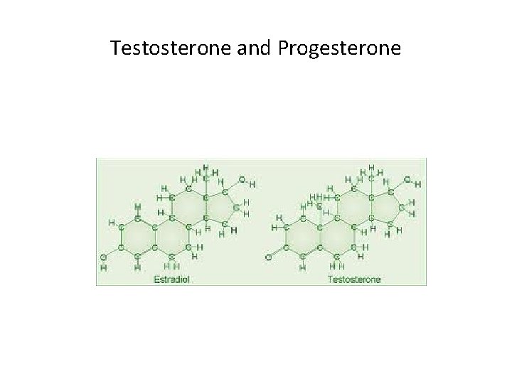Testosterone and Progesterone 