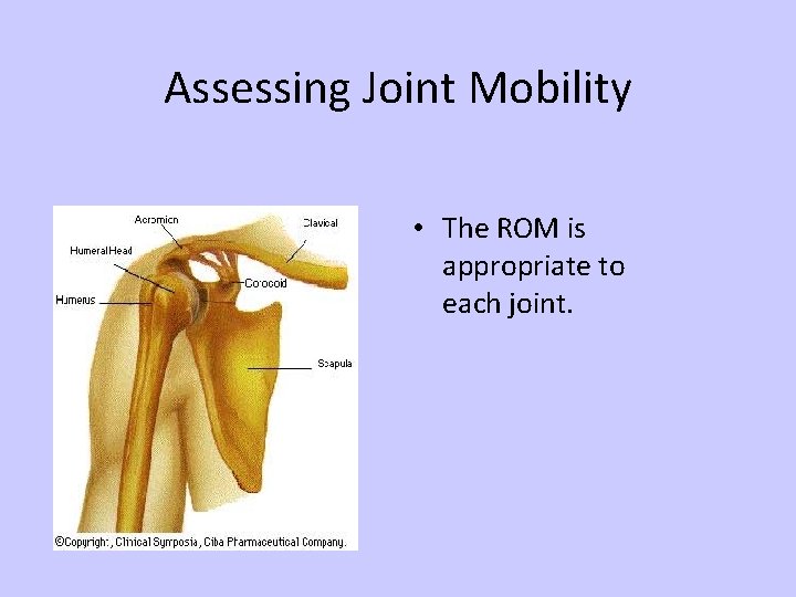 Assessing Joint Mobility • The ROM is appropriate to each joint. 