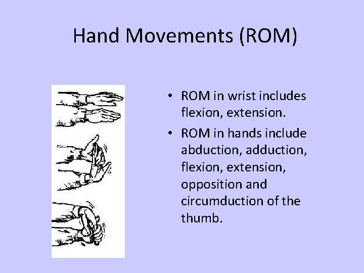 Hand Movements (ROM) • ROM in wrist includes flexion, extension. • ROM in hands