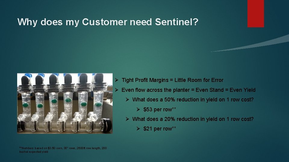 Why does my Customer need Sentinel? Ø Tight Profit Margins = Little Room for
