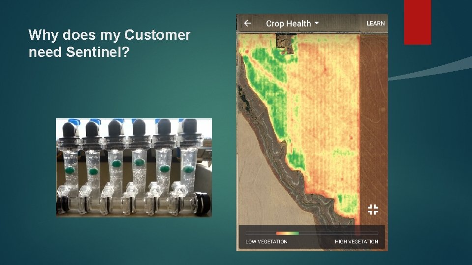 Why does my Customer need Sentinel? 