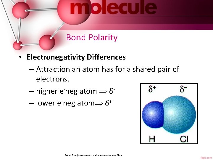 Bond Polarity • Electronegativity Differences – Attraction an atom has for a shared pair