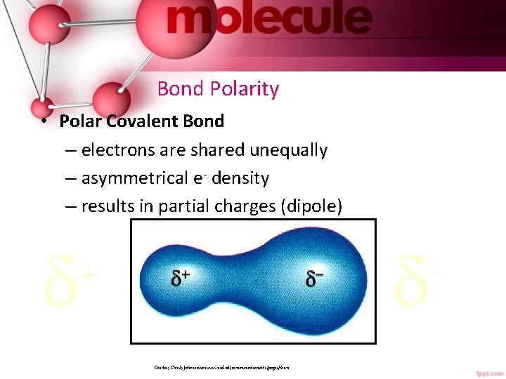 Bond Polarity • Polar Covalent Bond – electrons are shared unequally – asymmetrical e-